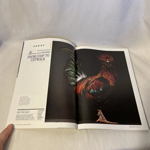 National Geographic February 2023 Origami Innovation Aging Japan Sea Otter Comeb - Picture 4 of 10